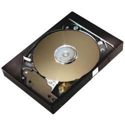 MAXTOR DIAMONDMAX 8S 40GB SATA HD 2MB 7200RPM 10MS