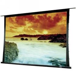 Draper Access Series V Electrol Projection Screen - 65 x 116 - M1300 - 133 Diagonal