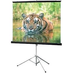 Draper Consul Portable Projection Screen - 60 x 60 - Fiberglass Matt White - 85 Diagonal