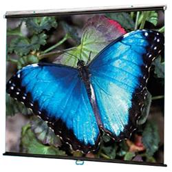 Draper V Screen Manual Projection Screen - 70 x 70 - Matte White - 99 Diagonal