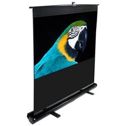 ELITE SCREENS Elite Screens ezCinema Portable Projection Screen - 49 x 87 - Matte White - 100 Diagonal