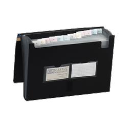 Lion Office Products Expanding File, Letter Size, 13 Pocket, Black (LIO48060BK)