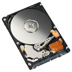 FUJITSU Fujitsu MHY2 BH Series MHY2040BH Hard Drive - 40GB - 5400rpm - Serial ATA/150 - Serial ATA - Plug-in Module