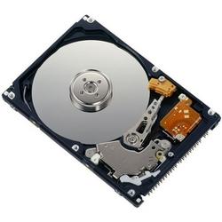 FUJITSU Fujitsu Serial ATA/150 Internal Hard Drive - 300GB - 4200rpm - Serial ATA/150 - Serial ATA - Internal