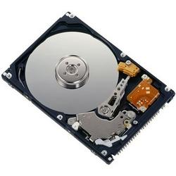 FUJITSU Fujitsu Serial ATA/150 Internal Hard Drive - 80GB - 5400rpm - Serial ATA/150 - Serial ATA - Plug-in Module