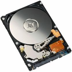 FUJITSU Fujitsu Ultra ATA/133 (ATA-7) Internal Hard Drive - 40GB - 4200rpm - Ultra ATA/133 (ATA-7) - IDE/EIDE - Internal