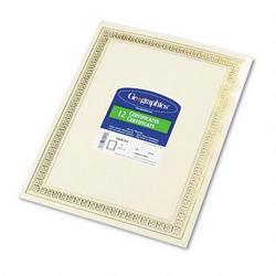 Geographics Gold Foil Stamped Flourish Design Award Certificates, 8-1/2 x 11, 12/Pack (GEO45492)