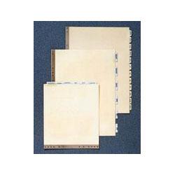 Avery-Dennison Gold Line™ Data Binder Insertable Tab Indexes, 11 x 9-1/2, 6 Tabs/Set (AVE11730)