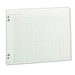 Wilson Jones/Acco Brands Inc. Green Columnar Sheets, Double Page Format, 24 Columns, 11x14, 100/Pack (WLJG3024)