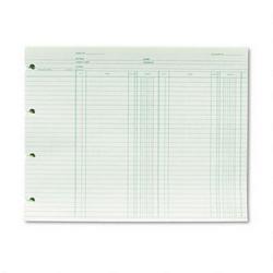 Wilson Jones/Acco Brands Inc. Green Double Entry Ledger Forms, Both Sides Alike, 9-1/4x11-7/8, 100/Pack (WLJGN2B)