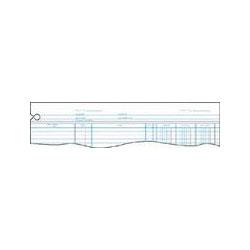 Wilson Jones/Acco Brands Inc. Green End-Balance Ledger Forms, Both Sides Alike, 9-1/4x11-7/8, 100/Pack (WLJGN2D)