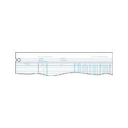 Wilson Jones/Acco Brands Inc. Green End-Balance Ledger Forms, Both Sides Alike, 9-1/4x11-7/8, 100/Pack (WLJGN2D)