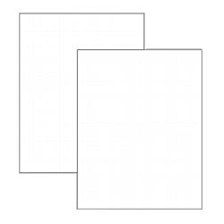 Geographics Grid Foam Board, 20 x3/16 x30 , 2/Pack, White (GEO72703)