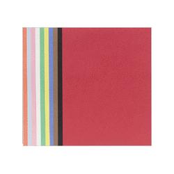 Riverside Paper Groundwood Construction Paper, 9 x12 , Assorted Colors (RIV05720)