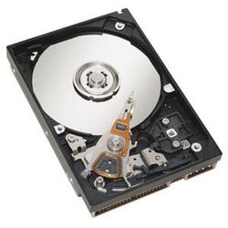 HEWLETT PACKARD HP HIGH PERFORMANCE EIO ATA HARD DISK. TAKE ADVANTAGE OF FASTCONVENIENT PRINTIN