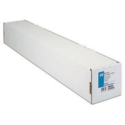 HEWLETT PACKARD HP Matte Litho-realistic Paper - 24 x 100'' - Matte