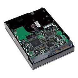HEWLETT PACKARD HP Serial-ATA Hard Drive Option Kit - 160GB - 7200rpm - Serial ATA/150 - Serial ATA - Internal