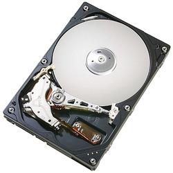 HITACHI GLOBAL STORAGE TECH Hitachi Deskstar 7K160 Hard Drive - 160GB - 7200rpm - Serial ATA/300 - Serial ATA - Internal