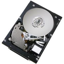 Hitachi Ultrastar 10K300 HUS103030FL3800 Hard Drive - 300GB - 10000rpm - Ultra320 SCSI - SCSI - Internal