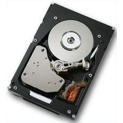 Hitachi Ultrastar 10K300 HUS103030FLF210 Hard Drive - 300GB - 10025rpm - FC - Fibre Channel - Internal