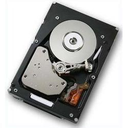 Hitachi Ultrastar 15K147 HUS151414VLF200 Hard Drive - 147GB - 15000rpm - FC-AL2 - Fibre Channel - Internal