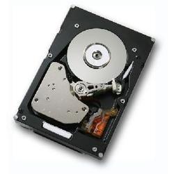 HITACHI GLOBAL STORAGE - SCSI Hitachi Ultrastar 15K147 HUS151414VLF400 Hard Drive - 147GB - 15000rpm - Fibre Channel - Internal