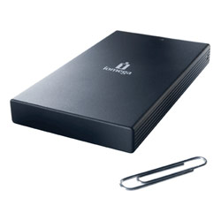 IOMEGA Iomega 120GB Black Portable Dual Hard Drive