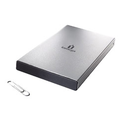 IOMEGA Iomega Silver Series 250GB Portable Hard Drive - Dual Interface (USB 2.0 & FireWire 400) External Hard Drive