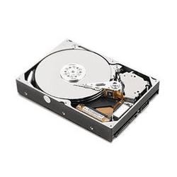 LENOVO Lenovo ThinkCentre Serial ATA/300 Hard Drive - 250GB - 7200rpm - Serial ATA/300 - Serial ATA - Internal