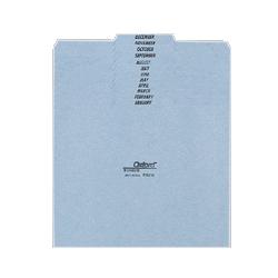 Esselte Pendaflex Corp. Monthly File Guide, Pressboard, 1/3 Self Tab, Letter, Blue (ESSPN212)