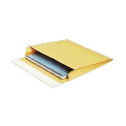 Quality Park Products Open-Side Mailers, Plain, 40Lb, 10 x12 x2 , 100/CT, Kraft (QUAE9115)