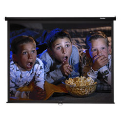 OPTOMA TECHNOLOGY Optoma 100in. Manual Pull Down Screen - 4:3 Screen Size