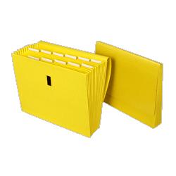 Globe Weis/Cardinal Brands Inc. expanding file with velcro closure, 13 pockets, letter, yellow (GLW38303)