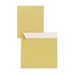 Quality Park Products mailer with flap-stik, plain, 40lb, 10 x13 , 100/bx, kft (QUAE8927)