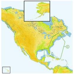 C-MAP USA C-Map Na-M022 C-Card Format U.S.East Coast And The Bahamas