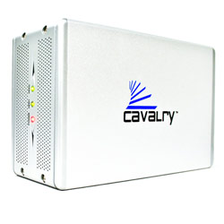 Cavalry 500GB USB & eSATA 2-Bay RAID Disk Array External Hard Drive