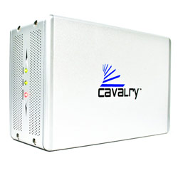 Cavalry 500GB USB & eSATA 2-Bay RAID Disk Array External Hard Drive