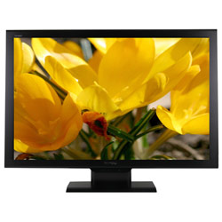 DoubleSight DS-305W 30 Widescreen LCD Monitor - 1000:1, 8ms, 2560 X 1600, DVI