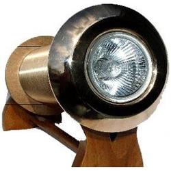 INTENSITY LIGHTS Intensity 2 120Vac 100W Underwater Light Halogen