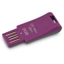 KINGSTON TECHNOLOGY FLASH Kingston 2GB DataTraveler Mini Pink