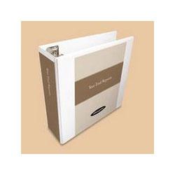 Acco Brands Inc. Professional Plus Vinyl View Binder, Locking No Gap™ D Rings, 1 1/2 Cap., White