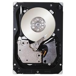 SEAGATE Seagate Cheetah 15K.6 ST3146356FC Hard Drive - 146GB - 15000rpm - Fibre Channel - Internal (ST3146356FC)