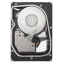 SEAGATE - SCSI Seagate Cheetah NS ST3300955FC Hard Drive - 300GB - 10000rpm - Fibre Channel - Internal (ST3300955FC)