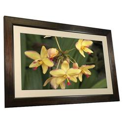 SmartParts SP3200 High Definition Digital Picture Frame - Audio Player, Photo Viewer, Video Player - 32 LCD