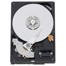 WESTERN DIGITAL Western Digital AV-GP SATA Hard Drive - 750GB - Serial ATA/300 - Serial ATA