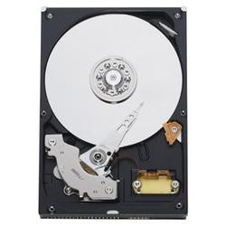 WESTERN DIGITAL TECH.INC Western Digital Caviar Hard Drive - 500GB - Serial ATA - Internal