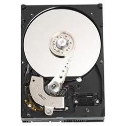 WESTERN DIGITAL TECH.INC Western Digital Caviar RE Hard Drive - 320GB - 7200rpm - Serial ATA/300 - Serial ATA - Internal (WD3201ABYS)