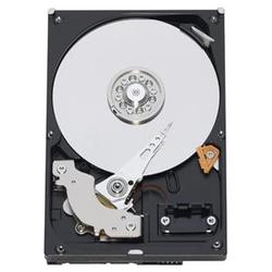 WESTERN DIGITAL Western Digital RE3 WD5002ABYS Hard Drive - 500GB - 7200rpm - Serial ATA/300 - Serial ATA - Internal (WD5002ABYS-20PK)