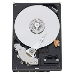 WESTERN DIGITAL Western Digital RE3 WD5002ABYS Hard Drive - 500GB - 7200rpm - Serial ATA/300 - Serial ATA - Internal (WD5002ABYS)