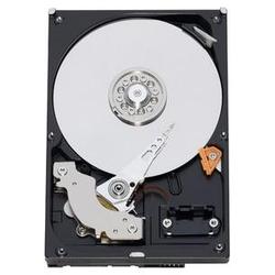 WESTERN DIGITAL Western Digital RE3 WD7502ABYS Hard Drive - 750GB - 7200rpm - Internal